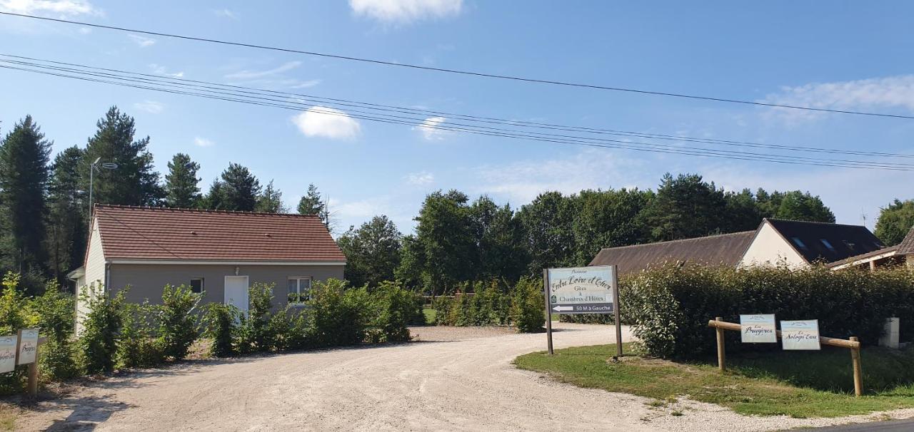ENTRE LOIRE ET CHER Les Bruyères Gîte&SPA Privatif Tour-en-Sologne Extérieur photo